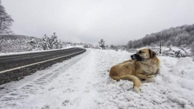 FB IMG 1630656354570