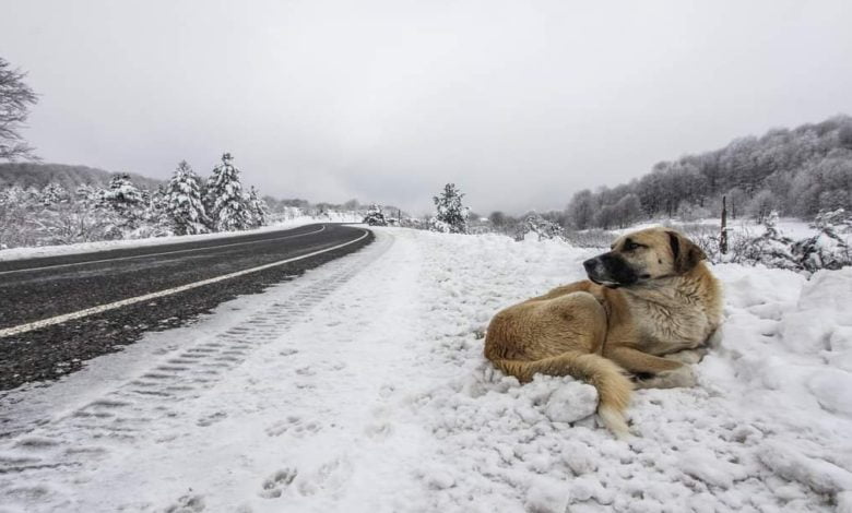 FB IMG 1630656354570