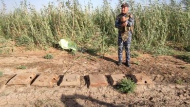 FB IMG 1631728187128