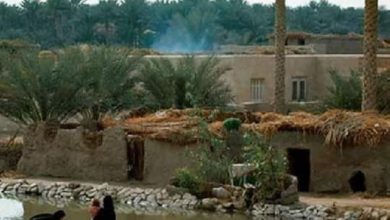 FB IMG 1632917827706