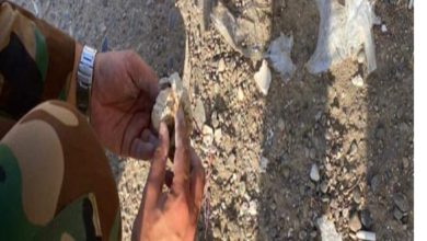 IMG ٢٠٢١٠٩٠١ ٢٠٠٨٥٥