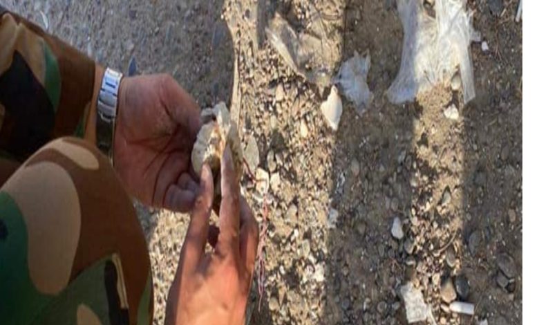 IMG ٢٠٢١٠٩٠١ ٢٠٠٨٥٥