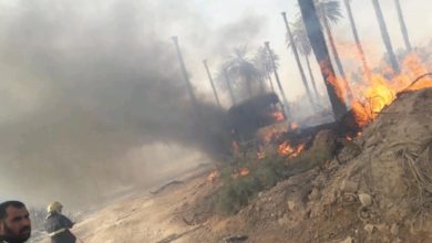 IMG ٢٠٢١٠٩٠٦ ١٩٢٩٣١