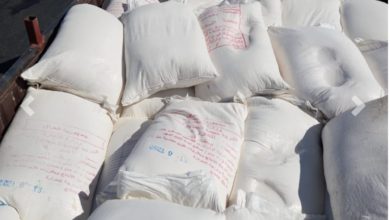 IMG ٢٠٢١٠٩٢٦ ١٩٢٨٣٣