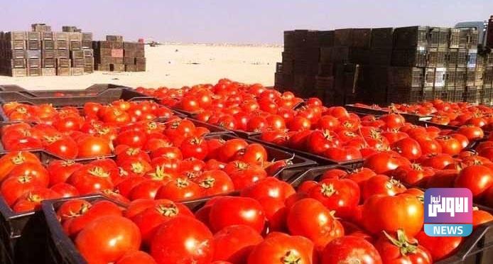 upload 1604859054 933142473