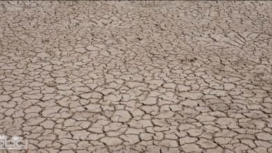 ٢٠٢١٠٩٠١ ٢٠١٥١٤