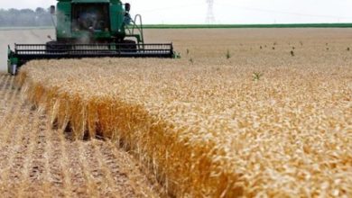 01B8460D FE38 4225 9E53 3069F13FF1FE