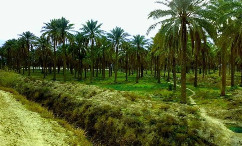 0BB6B9E8 78D0 497C A164 0EDAD588505B