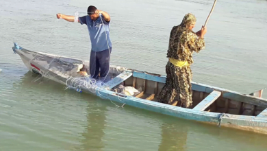 12850598 E566 4382 882D 62CEAE76576E