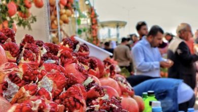 اختتام مهرجان الخريف والرمان في حلبجة 8 190BF2E2 7781 4920 933F 42665E1ED92E