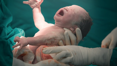 257E6800 B1F4 4302 BD7C 4C54E41E4073