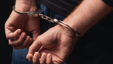 2962CF84 2FC3 43D9 9527 356229D5335D