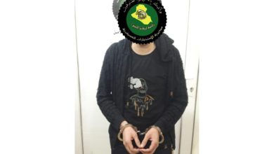 29CEBF0B 414D 4507 9A02 4BCEBD4E7047