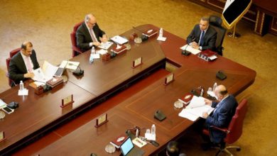 33866003 A314 4971 875D 73EE43F4CF52