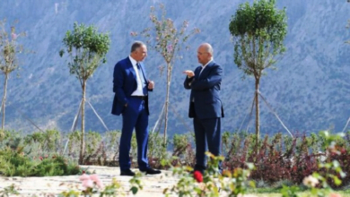 37D8D4C6 95D0 4AA1 B1D1 D766DAD9EE72