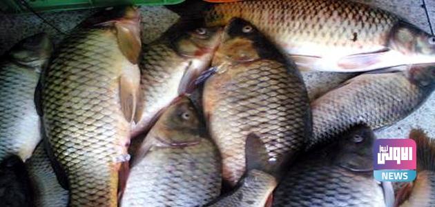 3E32E717 5AA3 4196 9995 9041BF23A095