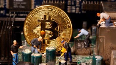 412B956B F554 4EA1 B3C0 EA26BEE709A8