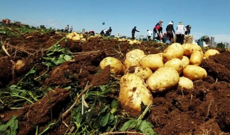 4CD4378A 844B 4A24 8F0E 5B80A3A27588