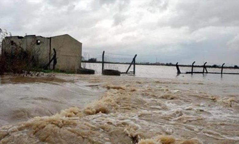 50131E1F EA68 4741 91A2 3DF5D5B9129A