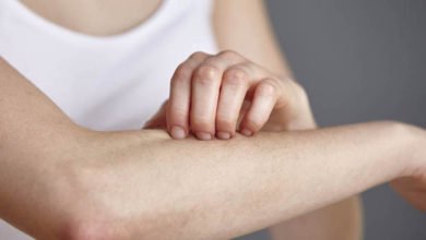 533C4E07 499F 446C 8182 17740639B4AC