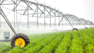 5772E1BA 4DB0 4AB4 93BD 7FC0A5C2EBB7