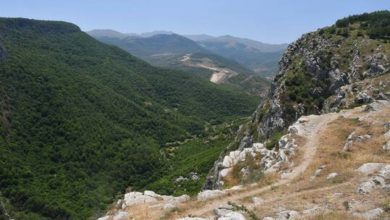 6156dcc04c59b7143e258943