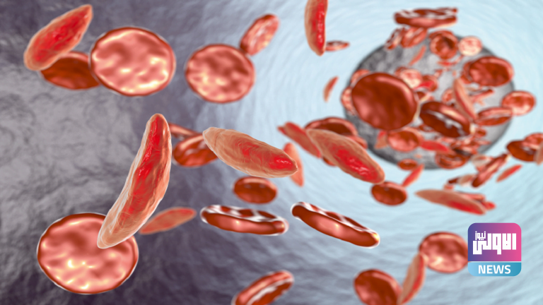 615da5624c59b7165b1d85e9