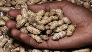 615f27794c59b711d726337e