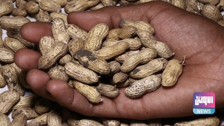 615f27794c59b711d726337e