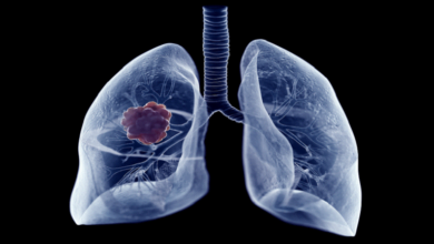 616537c54c59b769710e1a63