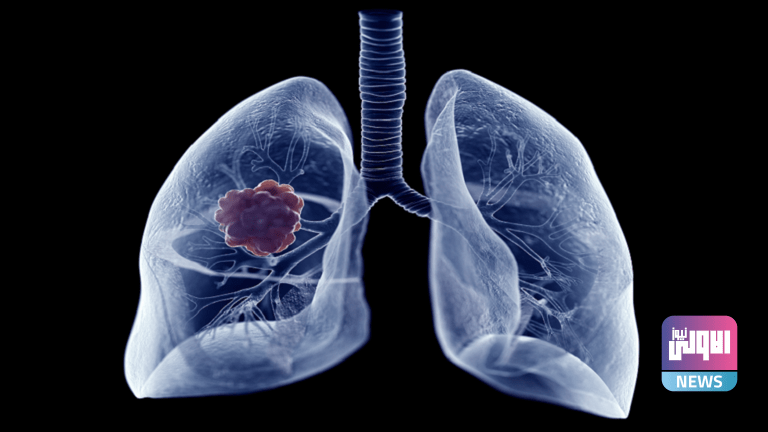 616537c54c59b769710e1a63