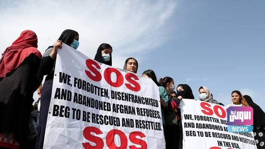 61668b8a4236045c36688c79