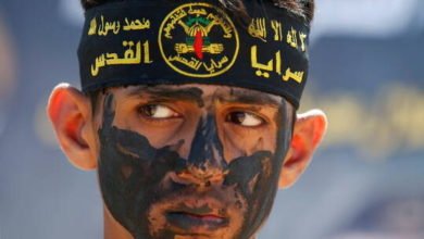 6167ca5d4236046a2c2417b8