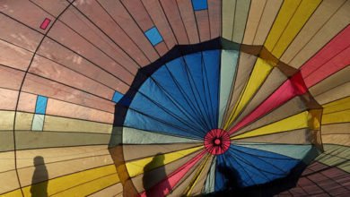 616e68524c59b711100854df