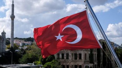 617697734c59b71d6e0f041d