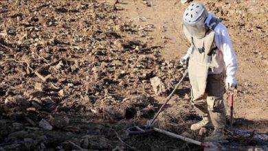 6177d2f34c59b7741e413967