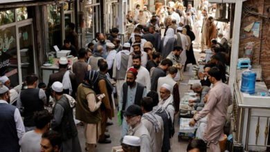 6178f1bd4236044f1951c0ff