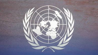 617cf39942360404444e39e4