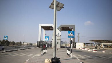 617e62b34236043831163313