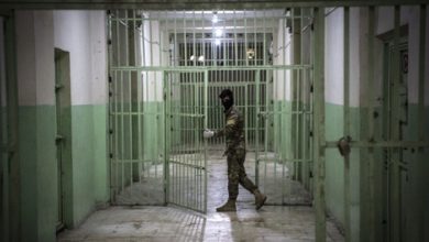 6BEC53F1 C1DD 4184 A531 D69BF207661D