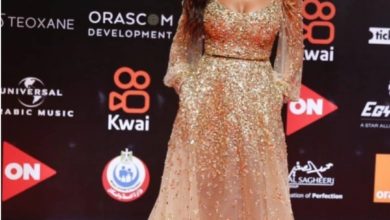 77EDA954 5AAD 433A 9CDE AFC00B50327E