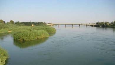 7A970350 F8B5 4908 A74C 17F4EF99F5AC