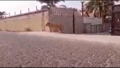 7BE358DE 5D17 4ADE A458 9A5D65B086D5