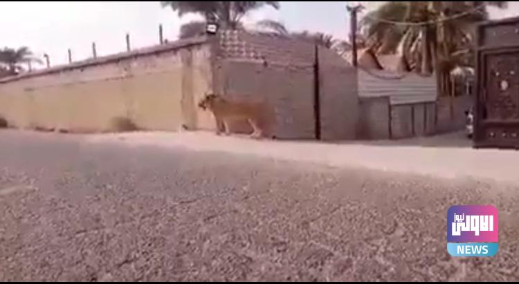 7BE358DE 5D17 4ADE A458 9A5D65B086D5