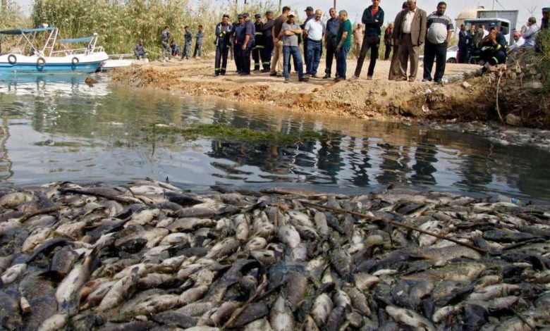 7FB3FDA0 046B 4A19 8EE9 42EC5B41F944