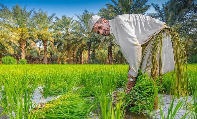 871DF0CF 605D 43A7 B3BE CB41153C2C07