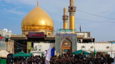 8AF65721 1AFE 491C A9EC BF76535A56D8