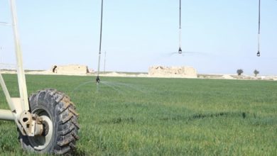 8B207ECF C797 4837 9032 E77A2807FB38