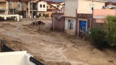 9848C119 96F8 4CA1 9BAD 53F194EFB6B1