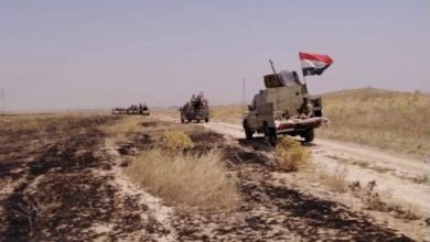 9F3BB0E6 94E8 4BB1 91B5 EF03C42CD555